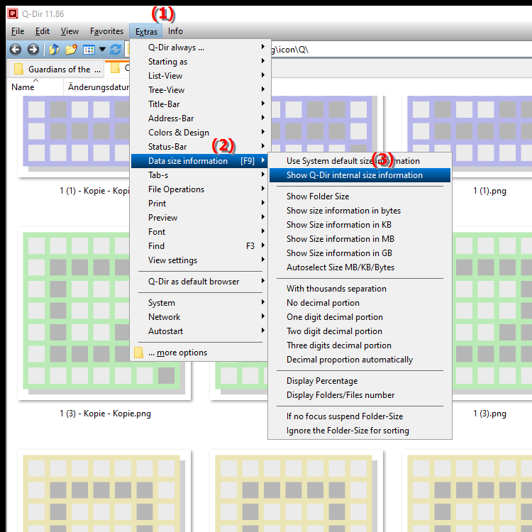 Can I customize the size of files in the Quad File Explorer Q Dir
